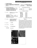 PROCESS FOR PRODUCING NANOSTRUCTURE COMPOSITE-COVERED STRUCTURE, NANOSTRUCTURE COMPOSITE-COVERED STRUCTURE, AND REACTOR USING NANOSTRUCTURE COMPOSITE-COVERED STRUCTURE diagram and image