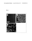 PROCESS FOR PRODUCING NANOSTRUCTURE COMPOSITE-COVERED STRUCTURE, NANOSTRUCTURE COMPOSITE-COVERED STRUCTURE, AND REACTOR USING NANOSTRUCTURE COMPOSITE-COVERED STRUCTURE diagram and image