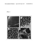 PROCESS FOR PRODUCING NANOSTRUCTURE COMPOSITE-COVERED STRUCTURE, NANOSTRUCTURE COMPOSITE-COVERED STRUCTURE, AND REACTOR USING NANOSTRUCTURE COMPOSITE-COVERED STRUCTURE diagram and image