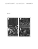 PROCESS FOR PRODUCING NANOSTRUCTURE COMPOSITE-COVERED STRUCTURE, NANOSTRUCTURE COMPOSITE-COVERED STRUCTURE, AND REACTOR USING NANOSTRUCTURE COMPOSITE-COVERED STRUCTURE diagram and image