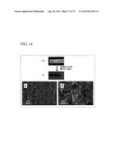 PROCESS FOR PRODUCING NANOSTRUCTURE COMPOSITE-COVERED STRUCTURE, NANOSTRUCTURE COMPOSITE-COVERED STRUCTURE, AND REACTOR USING NANOSTRUCTURE COMPOSITE-COVERED STRUCTURE diagram and image