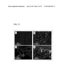 PROCESS FOR PRODUCING NANOSTRUCTURE COMPOSITE-COVERED STRUCTURE, NANOSTRUCTURE COMPOSITE-COVERED STRUCTURE, AND REACTOR USING NANOSTRUCTURE COMPOSITE-COVERED STRUCTURE diagram and image