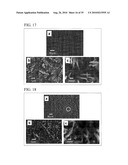 PROCESS FOR PRODUCING NANOSTRUCTURE COMPOSITE-COVERED STRUCTURE, NANOSTRUCTURE COMPOSITE-COVERED STRUCTURE, AND REACTOR USING NANOSTRUCTURE COMPOSITE-COVERED STRUCTURE diagram and image