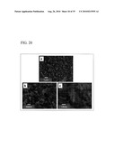 PROCESS FOR PRODUCING NANOSTRUCTURE COMPOSITE-COVERED STRUCTURE, NANOSTRUCTURE COMPOSITE-COVERED STRUCTURE, AND REACTOR USING NANOSTRUCTURE COMPOSITE-COVERED STRUCTURE diagram and image