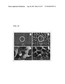 PROCESS FOR PRODUCING NANOSTRUCTURE COMPOSITE-COVERED STRUCTURE, NANOSTRUCTURE COMPOSITE-COVERED STRUCTURE, AND REACTOR USING NANOSTRUCTURE COMPOSITE-COVERED STRUCTURE diagram and image