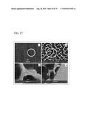 PROCESS FOR PRODUCING NANOSTRUCTURE COMPOSITE-COVERED STRUCTURE, NANOSTRUCTURE COMPOSITE-COVERED STRUCTURE, AND REACTOR USING NANOSTRUCTURE COMPOSITE-COVERED STRUCTURE diagram and image