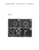 PROCESS FOR PRODUCING NANOSTRUCTURE COMPOSITE-COVERED STRUCTURE, NANOSTRUCTURE COMPOSITE-COVERED STRUCTURE, AND REACTOR USING NANOSTRUCTURE COMPOSITE-COVERED STRUCTURE diagram and image