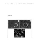 PROCESS FOR PRODUCING NANOSTRUCTURE COMPOSITE-COVERED STRUCTURE, NANOSTRUCTURE COMPOSITE-COVERED STRUCTURE, AND REACTOR USING NANOSTRUCTURE COMPOSITE-COVERED STRUCTURE diagram and image