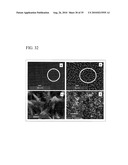 PROCESS FOR PRODUCING NANOSTRUCTURE COMPOSITE-COVERED STRUCTURE, NANOSTRUCTURE COMPOSITE-COVERED STRUCTURE, AND REACTOR USING NANOSTRUCTURE COMPOSITE-COVERED STRUCTURE diagram and image