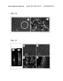 PROCESS FOR PRODUCING NANOSTRUCTURE COMPOSITE-COVERED STRUCTURE, NANOSTRUCTURE COMPOSITE-COVERED STRUCTURE, AND REACTOR USING NANOSTRUCTURE COMPOSITE-COVERED STRUCTURE diagram and image