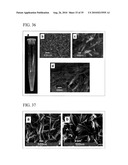 PROCESS FOR PRODUCING NANOSTRUCTURE COMPOSITE-COVERED STRUCTURE, NANOSTRUCTURE COMPOSITE-COVERED STRUCTURE, AND REACTOR USING NANOSTRUCTURE COMPOSITE-COVERED STRUCTURE diagram and image