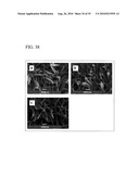 PROCESS FOR PRODUCING NANOSTRUCTURE COMPOSITE-COVERED STRUCTURE, NANOSTRUCTURE COMPOSITE-COVERED STRUCTURE, AND REACTOR USING NANOSTRUCTURE COMPOSITE-COVERED STRUCTURE diagram and image