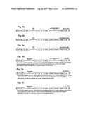 Recombinant Adenoviruses Capable Of Regulating Angiogenesis diagram and image