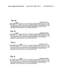 Recombinant Adenoviruses Capable Of Regulating Angiogenesis diagram and image