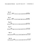 Recombinant Adenoviruses Capable Of Regulating Angiogenesis diagram and image