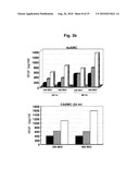 Recombinant Adenoviruses Capable Of Regulating Angiogenesis diagram and image