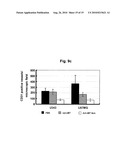 Recombinant Adenoviruses Capable Of Regulating Angiogenesis diagram and image