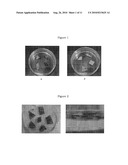 EFFICIENT PREPARATION OF NAPHTHOQUINONE ANTICANCER ACTIVE INGREDIENTS diagram and image