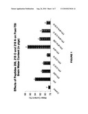 PEPTIDES DERIVED FROM PLASMINOGEN ACTIVATOR INHIBITOR-1 AND USES THEREOF diagram and image