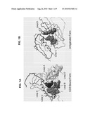 DELETION OF THE BETA 20-21 LOOP IN HIV GP120 EXPOSES THE CD4 BINDING SITE FOR IMPROVED ANTIBODY BINDING AND ANTIBODY INDUCTION diagram and image