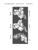 DELETION OF THE BETA 20-21 LOOP IN HIV GP120 EXPOSES THE CD4 BINDING SITE FOR IMPROVED ANTIBODY BINDING AND ANTIBODY INDUCTION diagram and image