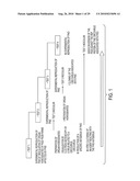 CIRCOVIRUS SEQUENCES ASSOCIATED WITH PIGLET WEIGHT LOSS DISEASE (PWD) diagram and image