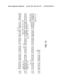 CIRCOVIRUS SEQUENCES ASSOCIATED WITH PIGLET WEIGHT LOSS DISEASE (PWD) diagram and image