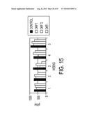 CIRCOVIRUS SEQUENCES ASSOCIATED WITH PIGLET WEIGHT LOSS DISEASE (PWD) diagram and image