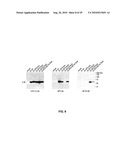 RECOMBINANT VIRAL VECTORS diagram and image