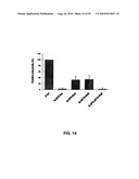 RECOMBINANT VIRAL VECTORS diagram and image