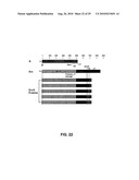 RECOMBINANT VIRAL VECTORS diagram and image