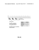 RECOMBINANT VIRAL VECTORS diagram and image