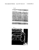 Metal Covered Polyimide Composite, Process for Producing the Composite, and Apparatus for Producing the Composite diagram and image