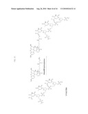 METHODS AND COMPOSITIONS FOR DIRECT DETECTION OF DNA DAMAGE diagram and image