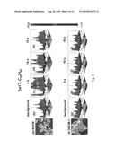 Method for detecting cancer and reagents for use therein diagram and image