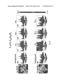 Method for detecting cancer and reagents for use therein diagram and image