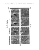 Method for detecting cancer and reagents for use therein diagram and image