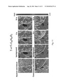 Method for detecting cancer and reagents for use therein diagram and image