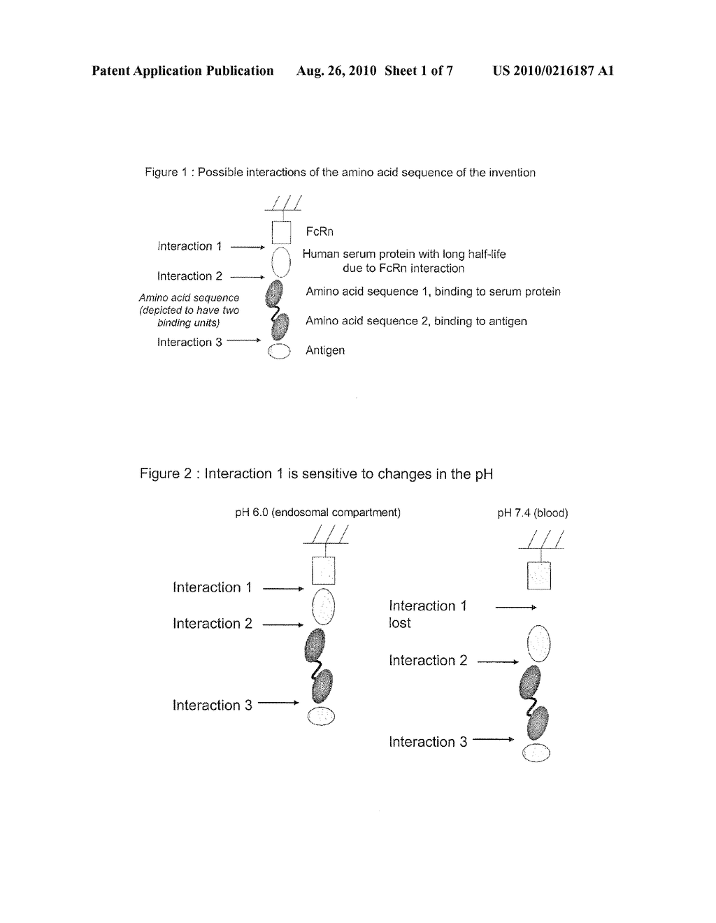 AMINO ACID SEQUENCES THAT BIND TO A DESIRED MOLECULE IN A CONDITIONAL MANNER - diagram, schematic, and image 02