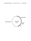 USE OF CHICK BETA ACTIN GENE INTRON-1 diagram and image