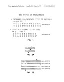 VECTORS FOR DIRECTIONAL CLONING diagram and image