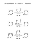 VECTORS FOR DIRECTIONAL CLONING diagram and image