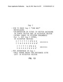 VECTORS FOR DIRECTIONAL CLONING diagram and image