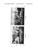 SUBSTRATE PREPARATION FOR ENHANCED THIN FILM FABRICATION FROM GROUP IV SEMICONDUCTOR NANOPARTICLES diagram and image