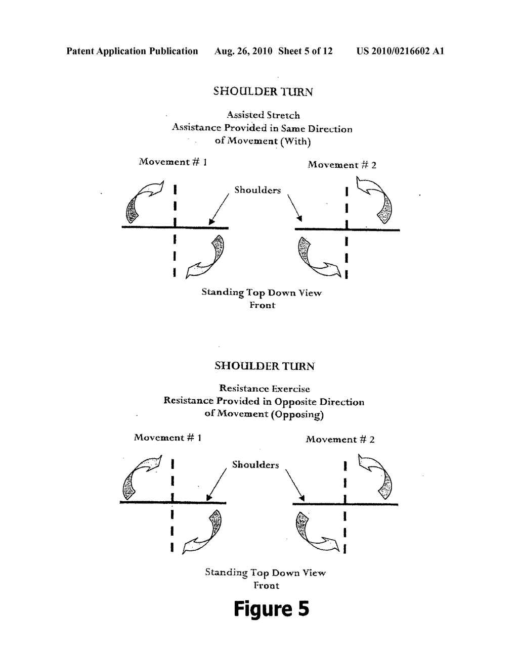 Trunk rotation - diagram, schematic, and image 06