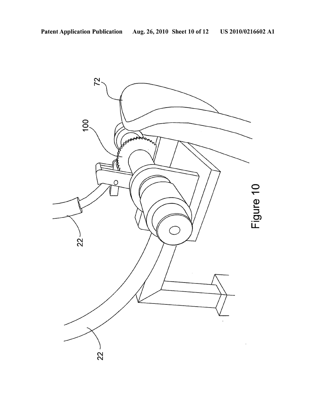 Trunk rotation - diagram, schematic, and image 11