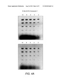 DETECTION OF IMMOBILIZED NUCLEIC ACID diagram and image