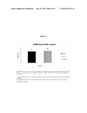 NEUROPROTECTION USING NAP-LIKE AND SAL-LIKE PEPTIDE MIMETICS diagram and image