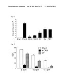 Combination Therapy for Neuroprotection diagram and image