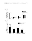 Combination Therapy for Neuroprotection diagram and image